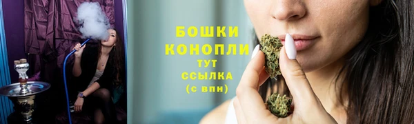 стафф Каменск-Шахтинский