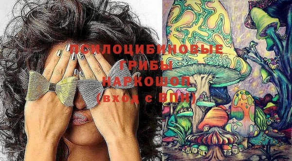 PSILOCYBIN Каменногорск