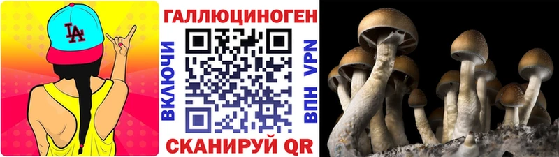Купить закладки  Палласовка  Галлюциногенные грибы Cubensis 